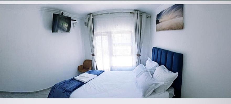 Blue Nile Guest